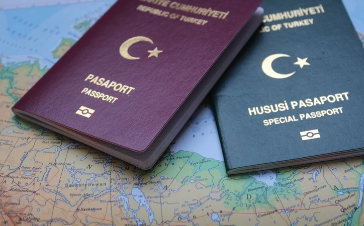 D-tipi-vize-nedir