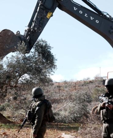 israil-agac-soktu-aa-2438358