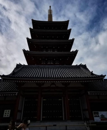 japonya-tapinak-aa-1479493