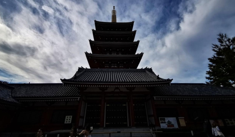 japonya-tapinak-aa-1479493