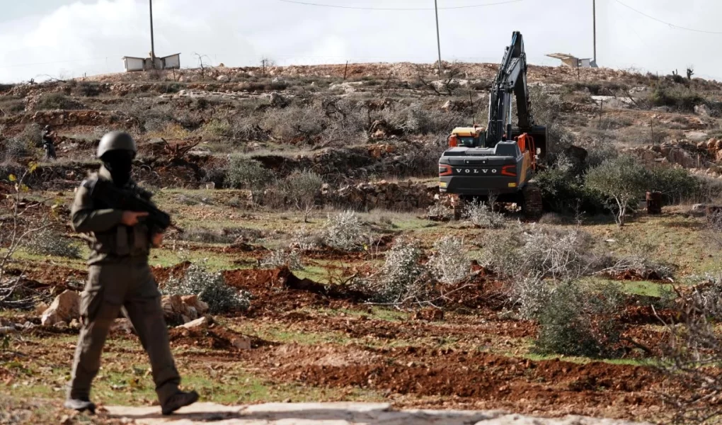 Batı Şeria'da tarım katliamı: 400 zeytin ağacı kesildi