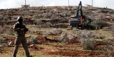 Batı Şeria'da tarım katliamı: 400 zeytin ağacı kesildi