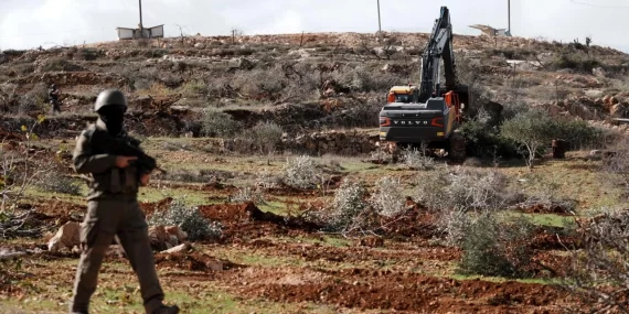 Batı Şeria’da tarım katliamı: 400 zeytin ağacı kesildi