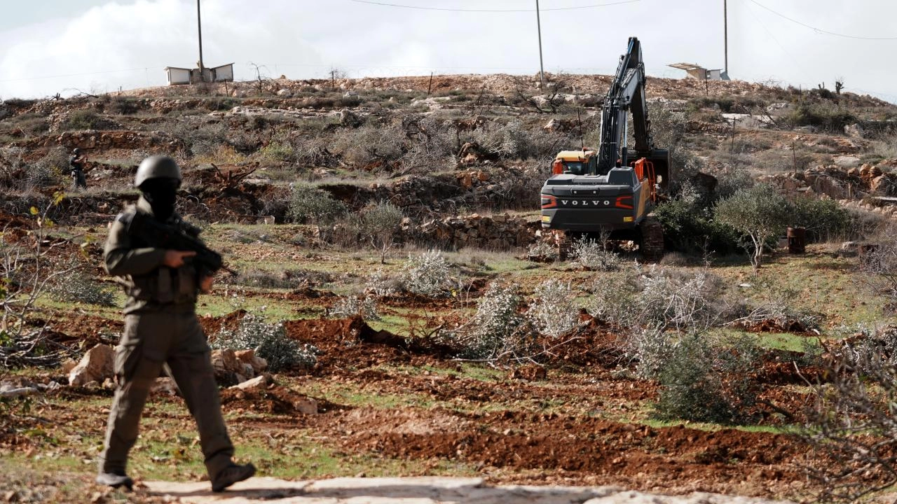 Batı Şeria'da tarım katliamı: 400 zeytin ağacı kesildi