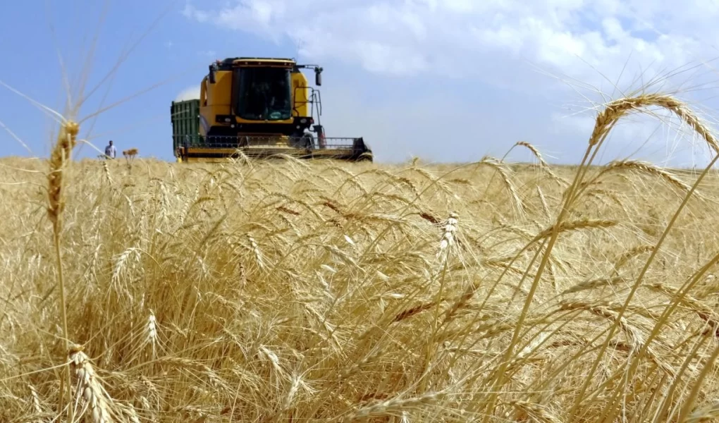 Çiftçiye 1,3 milyar liralık destek ödemesi