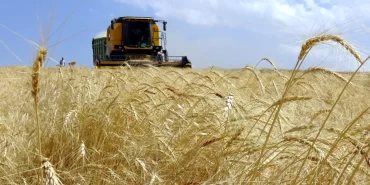 Çiftçiye 1,3 milyar liralık destek ödemesi