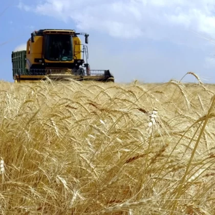 Çiftçiye 1,3 milyar liralık destek ödemesi