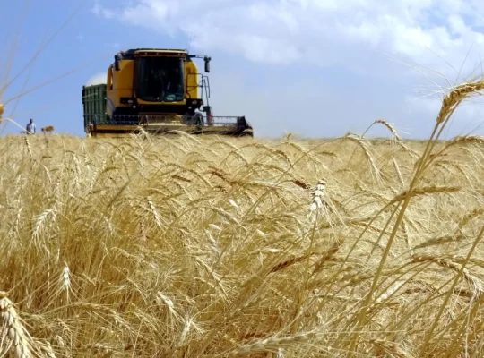 Çiftçiye 1,3 milyar liralık destek ödemesi