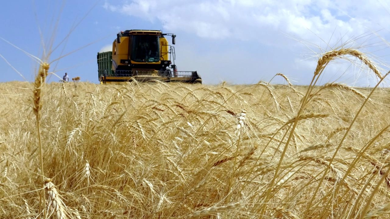 Çiftçiye 1,3 milyar liralık destek ödemesi