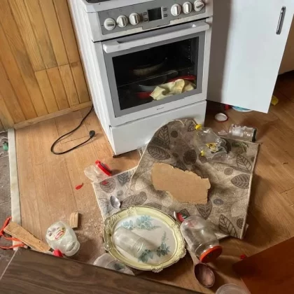 Doğu Karadeniz'de ayı kabusu: Evleri talan ettiler