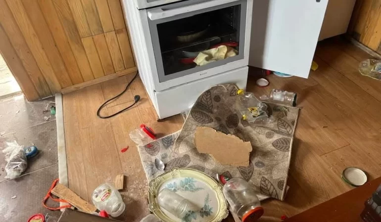 Doğu Karadeniz'de ayı kabusu: Evleri talan ettiler