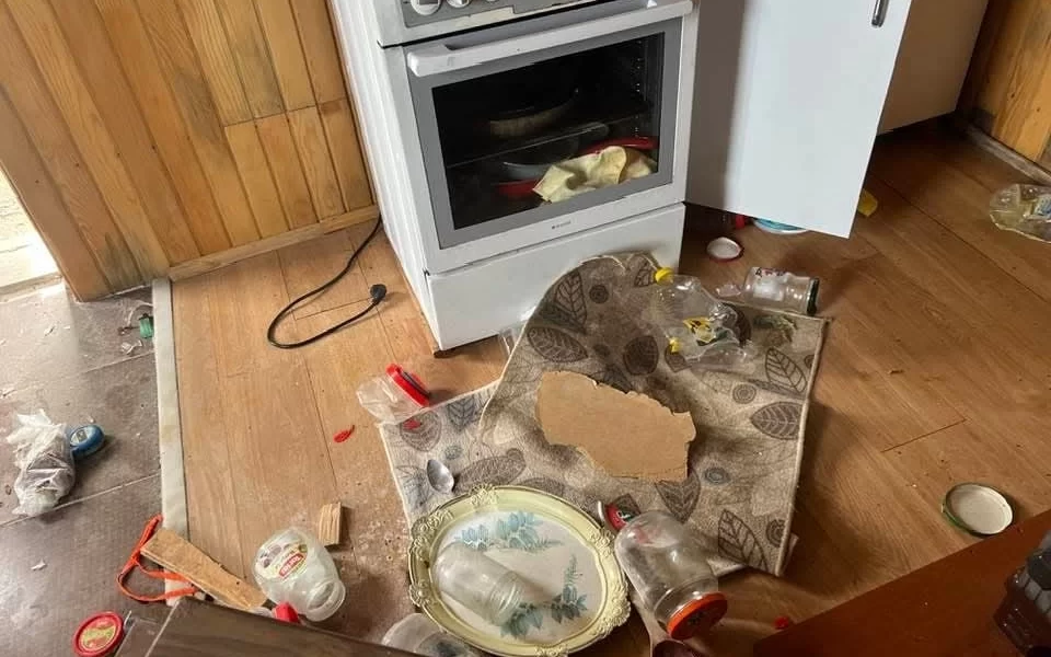 Doğu Karadeniz'de ayı kabusu: Evleri talan ettiler