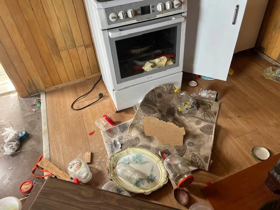 Doğu Karadeniz'de ayı kabusu: Evleri talan ettiler