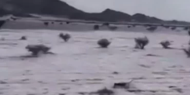 Suudi Arabistan'da nadir doğa olayı: Çölde dolu beyazlığı
