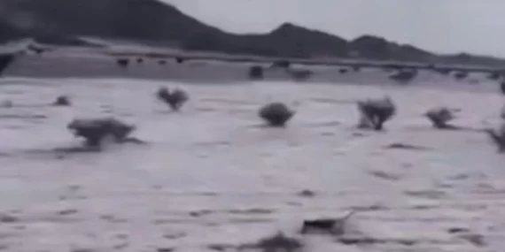 Suudi Arabistan’da nadir doğa olayı: Çölde dolu beyazlığı