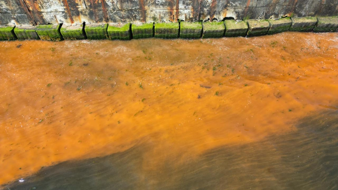 Tekirdağ sahilinde "plankton" renk değişimi