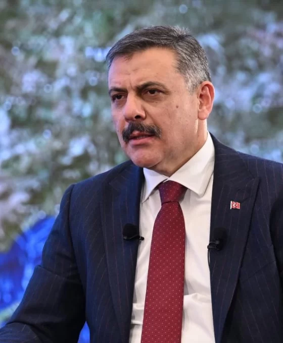 Van'daki köpek saldırısına ilişkin soruşturma başlatıldı