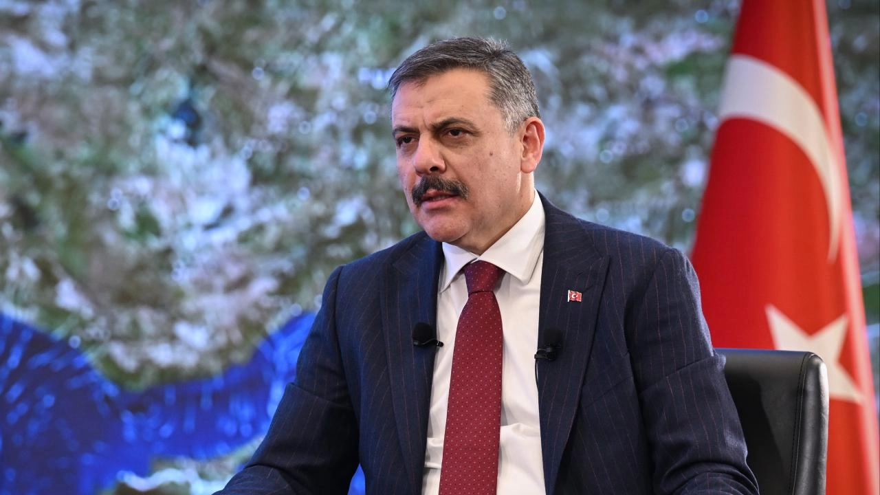 Van'daki köpek saldırısına ilişkin soruşturma başlatıldı