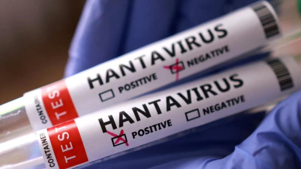 Avrupa hantavirüs alarmında: Tahliye operasyonu başladı