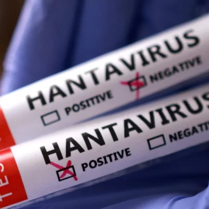 Avrupa hantavirüs alarmında: Tahliye operasyonu başladı