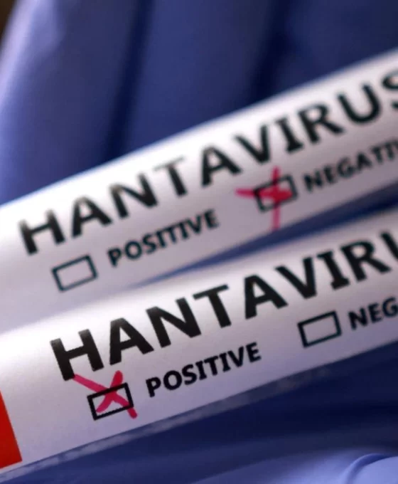 Avrupa hantavirüs alarmında: Tahliye operasyonu başladı