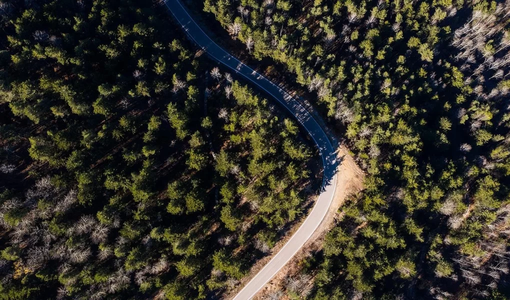 Adana'da kritik yasak kapıda: Ormanlara girişler kapatıldı
