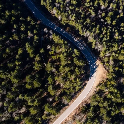 Adana'da kritik yasak kapıda: Ormanlara girişler kapatıldı