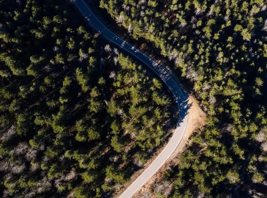 Adana'da kritik yasak kapıda: Ormanlara girişler kapatıldı