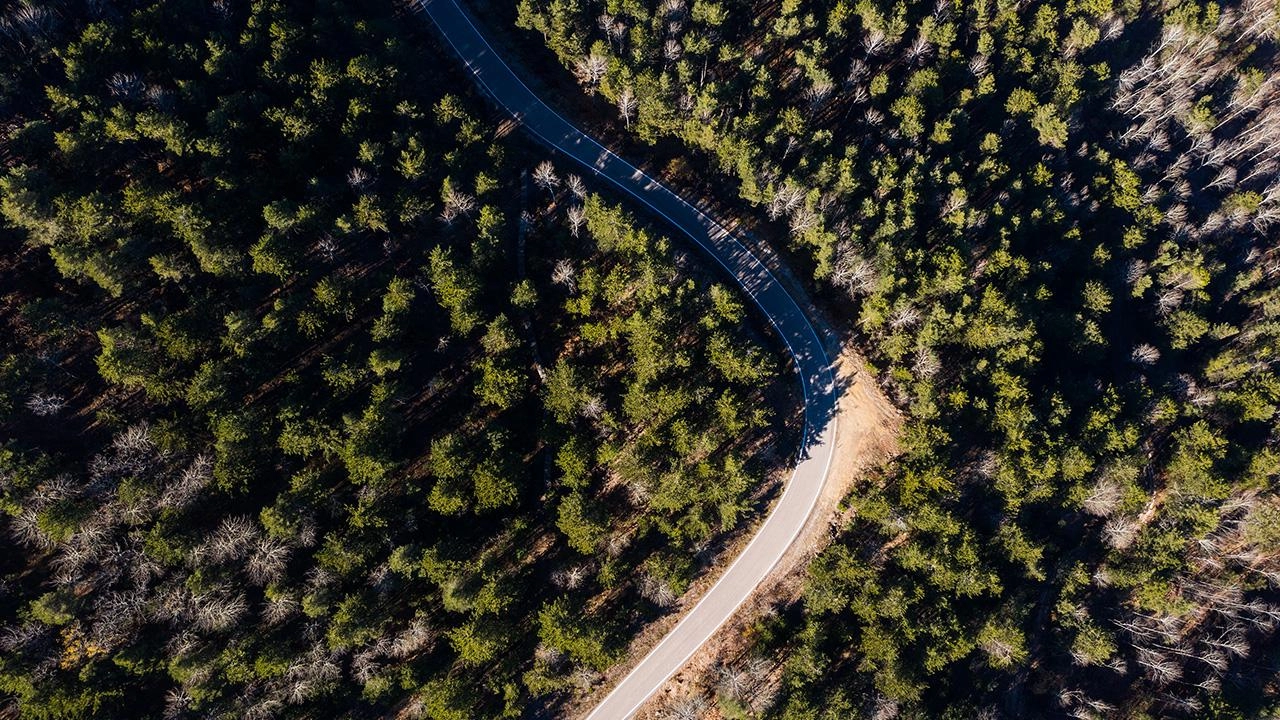 Adana'da kritik yasak kapıda: Ormanlara girişler kapatıldı