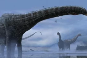 Dinozorları yok eden asteroit yeni bir yaşam alanı kurdu