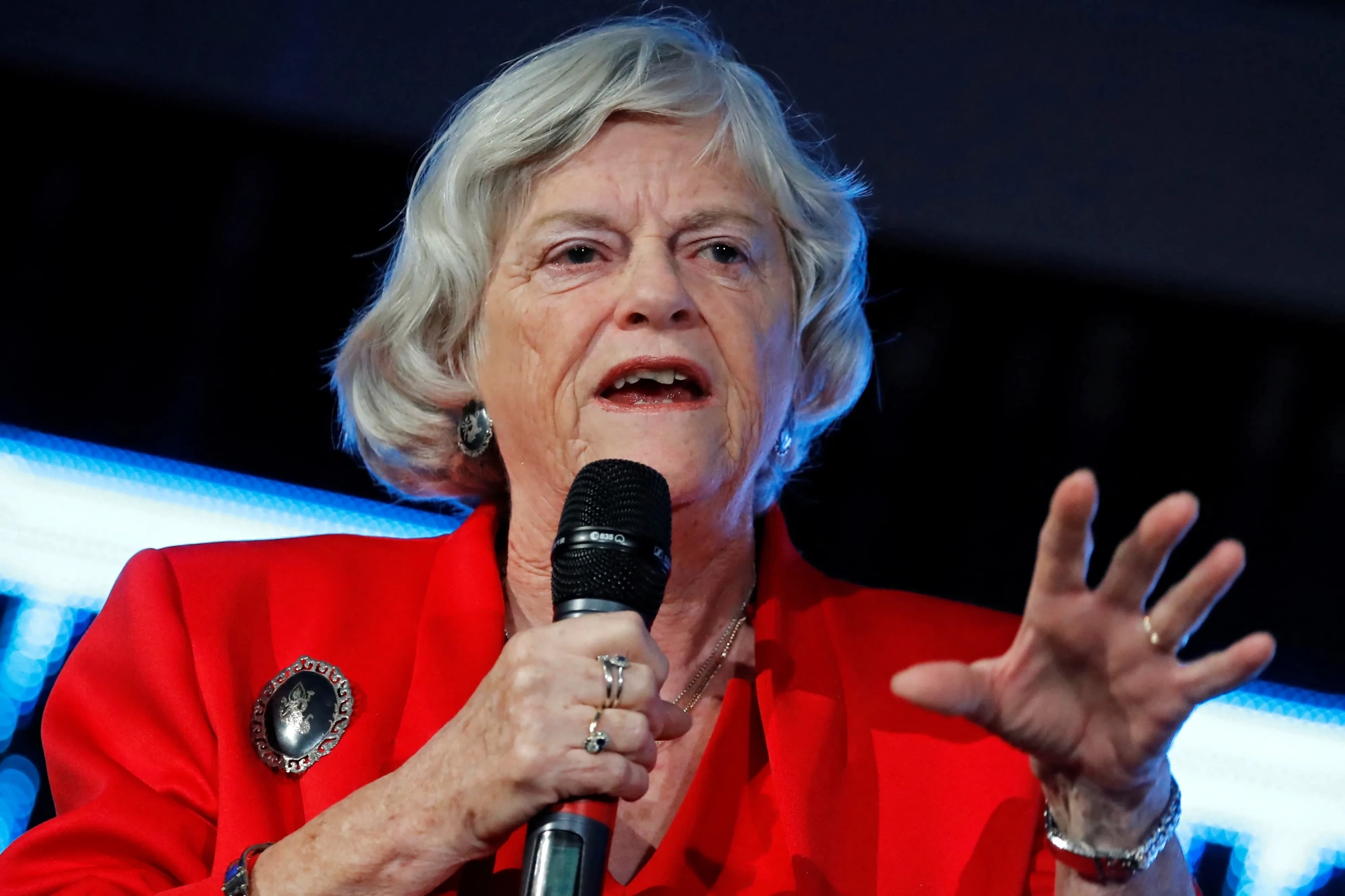 Eski İngiliz Bakan Anne Widdecombe cinayetinde terör şüphesi!