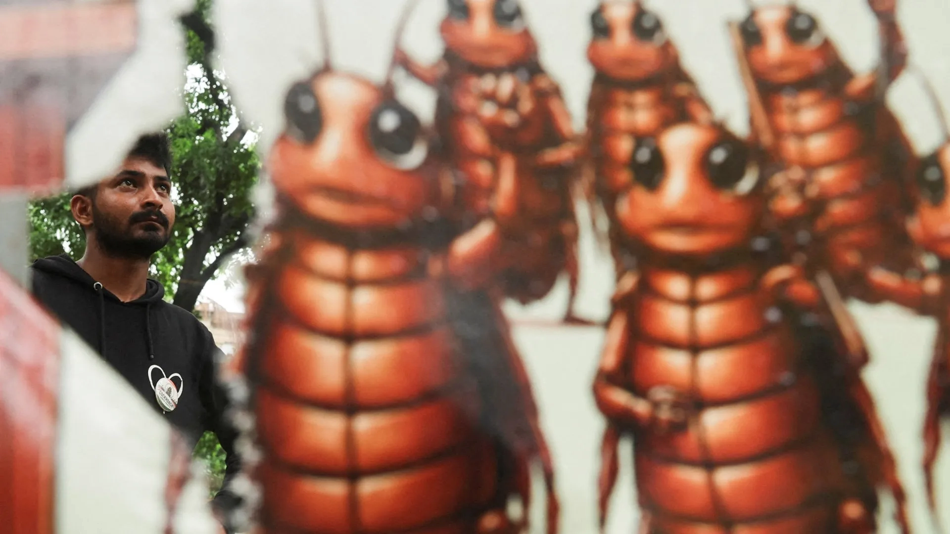 Hindistan'da "Hamamböcekleri Partisi" iktidarı sarstı