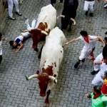 San Fermin'de kanlı bilanço: 70'ten fazla yaralı