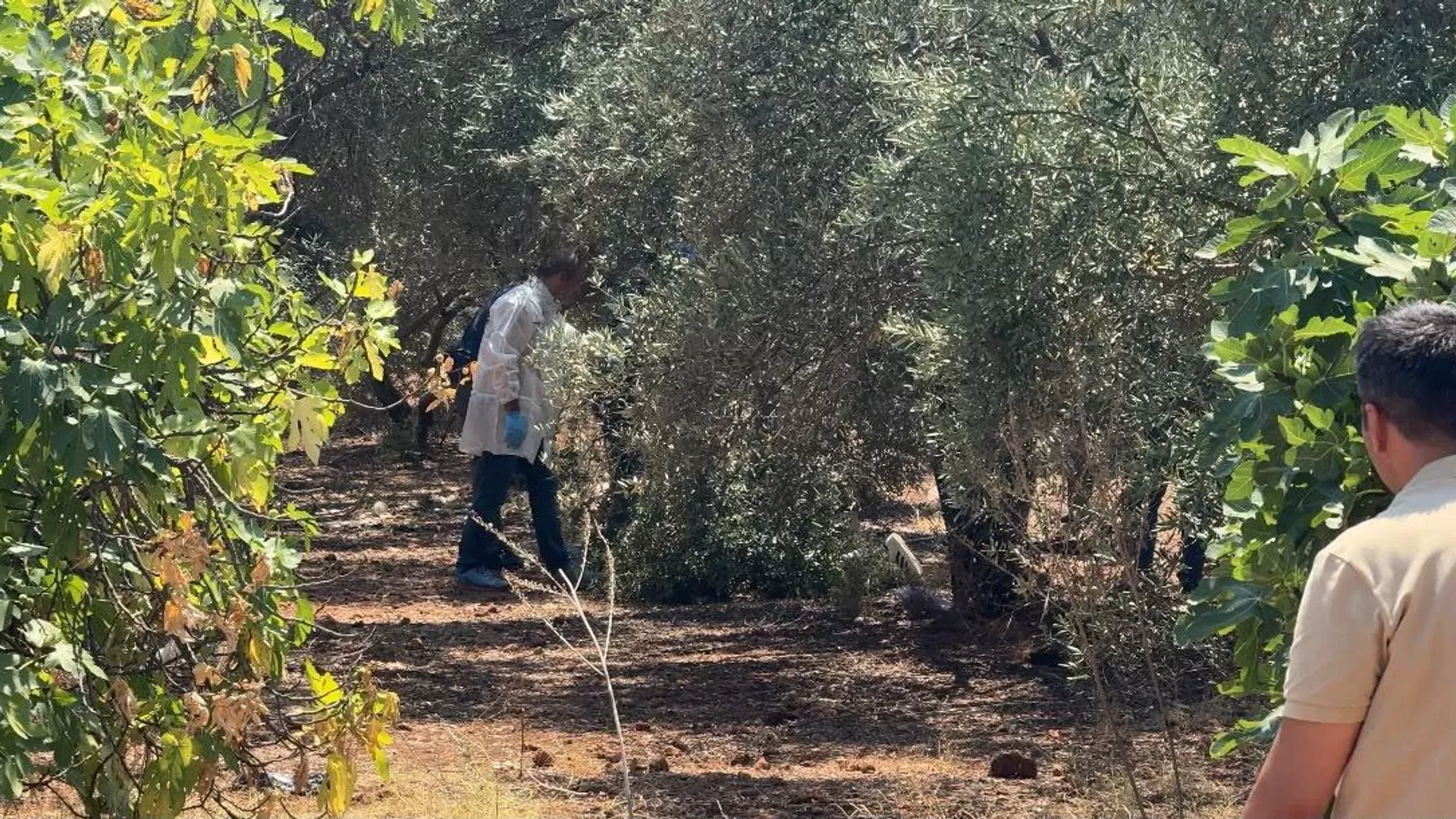 Antalya'da şüpheli ölüm: Zeytinlikte elleri bağlı bulundu!