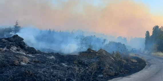 Çanakkale'de orman yangını paniği: Ekipler havadan ve karadan devrede!