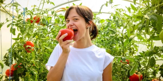 Günde bir domates karaciğer yağlanmasını geriletebilir: Yeni araştırma!