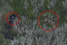 Timsah dolu bataklığa iki çocukla kaçtı: Drone kamerası kurtardı!