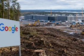 Google'a Finlandiya freni: Bin dönümlük orman talanı durduruldu