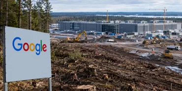 Google'a Finlandiya freni: Bin dönümlük orman talanı durduruldu