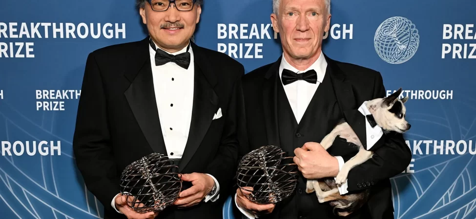 Narkolepsinin sırrı çözüldü: Uykunun gizemine Nobel öncesi ışık