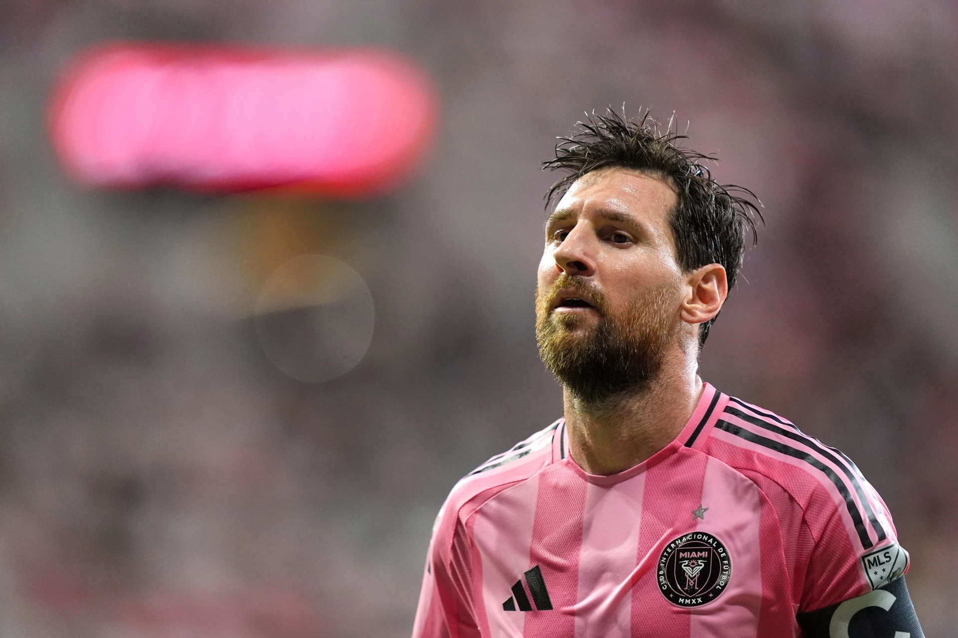 Peru'da keşfedilen nadir bitki türüne Messi'nin adı verildi